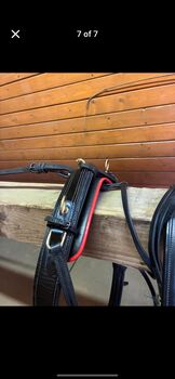 Harness for sale, Elana Hoerter , Horse Harness, Elmira