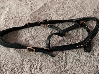 Harrys Horse Leder Halfter Anatomic, Harrys Horse , Jeannie Zeplin , Halters, Lilienthal 