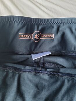 Harrys Horse Reitleggings Denici Cavalli Maroon Full Grip Navy Harrys Horse