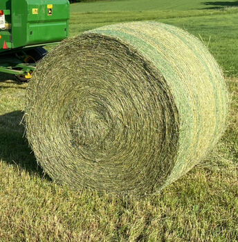 Heu Rundballen oder HD Ballen, Andreas , Hay & Straw, Pegnitz 