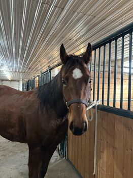 HE MADE IT RAIN by ONE LOPIN MACHINE