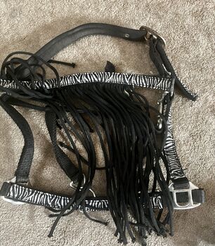 Head collar and lead rope, Charlie, Kantary, Caerphilly