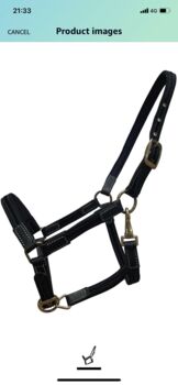 Headcollar and lead rein, Pony/small cob, Candy Mercer, Halters, Gillingham