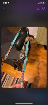 Headstall for sale, Hot headstalls, Cassandra, Bridles & Headstalls, Iron Mountain