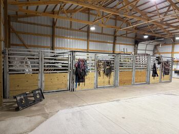 Heavy-duty stainless steel 12' (horse) stalls, Nancy, Horse Stables, RAPID CITY