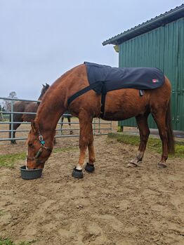 Heizdecke / Rückenwärmer mit Akku Catago FIR-Tech Pro  Rückenwärmer Catago FIR-Tech Pro