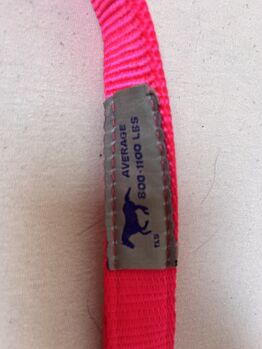 Nagelneues Hamilton Halfter Hot Pink -Average Hamilton VERKAUFT
