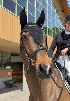 Herzenspferd & verlässlicher Lehrmeister, Emanuela, Horses For Sale, Chevenez