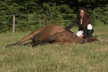 ✨ "Das Geheimnis der Pferde" – Wochenendkurs Sandra Anna Wanner