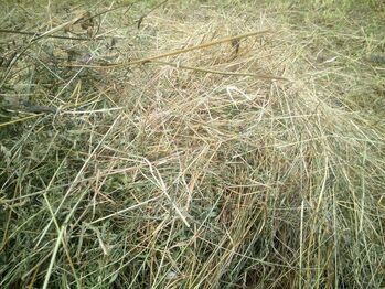 Heulage - Gärheu - Silage