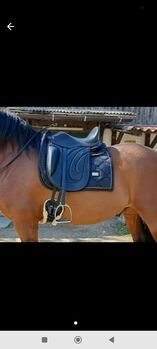 Hidalgo Roma Lederbaum Sattel 17,5 Zoll Hidalgo