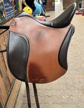 Hidalgo Santiago PFT, 17,5, Hidalgo  Santiago, Kristina Paul, Baroque Saddle, Nümbrecht 