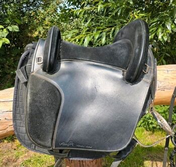 Hidalgo Valencia II special, Hidalgo Valencia II special, Ani Siemk, Baroque Saddle, Wesel