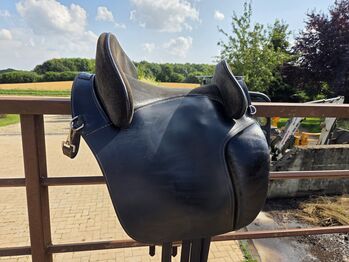 Hidalgo Valencia Shorty, Hidalgo  Valencia Shorty , Emma, Baroque Saddle, Mohrkirch
