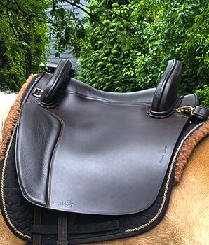 Hidalgo Valencia Spezial braun, Hidalgo  Valencia Spezial , Steffi , Baroque Saddle, Hagen