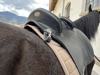 Hidalgo Valencia special Lederbaumsattel Hidalgo Valencia Spezial