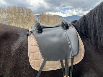 Hidalgo Valencia special Lederbaumsattel, Hidalgo Valencia Spezial, Jessica, Sonstiger Sattel, Weißenbach Gumitsch