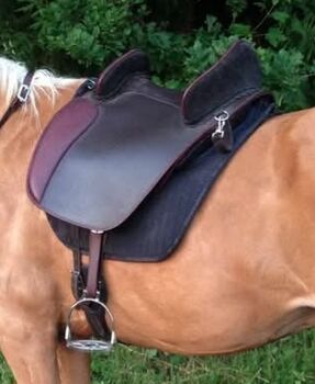 Hidalgo valentia II schokobraun Hidalgo Valencia II