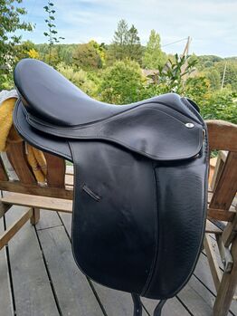 Hidalgo venice special 19', Hidalgo Venice special, melanie, Dressage Saddle, Altenkirchen