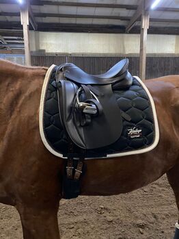 Hochwertiger Dressursattel von Manfred Eichorn, 16.5 Zoll, Fritzi, Dressage Saddle, Berlin