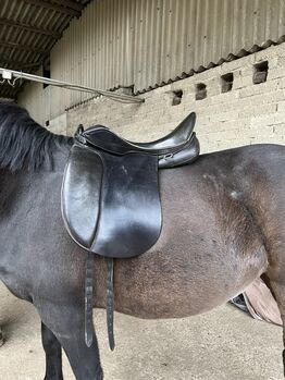 Hilbar Leistur Dressursattel 17,5 Zoll Kerstin Baden, Hilbar Leistur, Maya  Schmitz , Dressage Saddle, Bonn