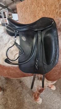 Hilbar Royal Compact Base Islandpferdesattel, Hilbar Compact Base, Jasmin Gast, Icelandic Saddle, Wedemark