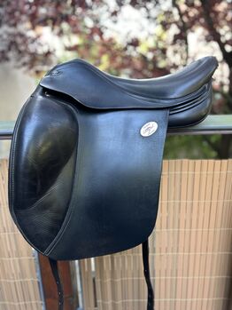 Hilbar Royal Exklusiv | 17,5 Zoll, Hilbar Royal Exklusiv , Sylvia , Icelandic Saddle, Berlin 