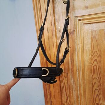 HILBURY Kappzaum Warmblut, Hilbury  Kappzaum , Julia P., Other, Köln