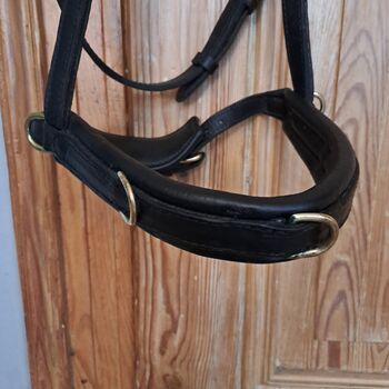 HILBURY Kappzaum Warmblut Hilbury  Kappzaum 