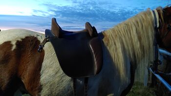 Hildalgo baumloser Sattel, Hildalgo  Valencia II, Ronja Marklstorfer , Treeless Saddle, Neufahrn in NB