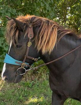 Hillbury Elchleder Zügel, Hillbury Elchleder Zügel, Kathy, Bridles & Headstalls, Hamburg