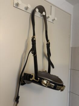 Hillbury Kappzaum Figaro WB Hillbury Kappzaum Figaro