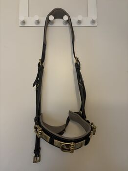 Hillbury Kappzaum Figaro WB, Hillbury Kappzaum Figaro, Sylvia, Lunging