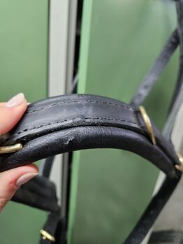 Hillbury Kappzaum Varioso Full Hillbury Varioso