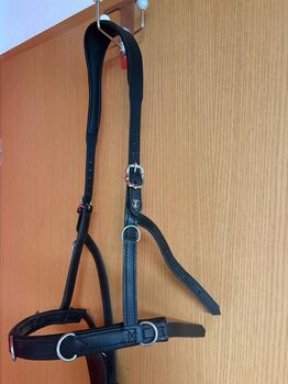 Hillbury Kappzaum Sidepull Galanto Gr.VB Barock, Hillbury Galanto, Petra, Groundwork, Krien