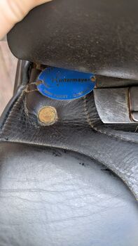 Hintermayer Anatomic Hintermayer  Anatomic Spring Tree