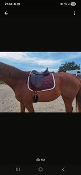 Hintermeyer Dressursattel anatomic, Hintermeyer  Anatomic Dressage, Jasmin, Dressage Saddle, Staufen im Breisgau