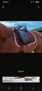 Hintermeyer Dressursattel anatomic Hintermeyer Anatomic Dressage