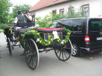 Historischen Landauer zu verkaufen