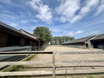 Historische Reitanlage im Elsass – Ihr exklusives Paradies für Pferdeliebhaber und Investoren