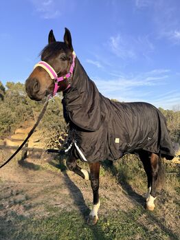 Trouvez la meilleure couverture imperméable pour chevaux pour l'hiver, Trotando Juntos , Maite (Productos Ecuestres Trotando Juntos S.L), Horse Blankets, Sheets & Coolers, Palau solita y plegamans