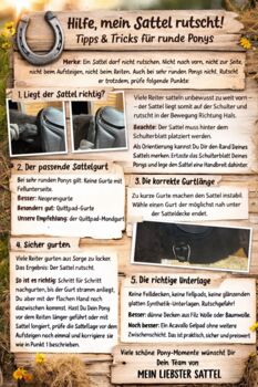 Hilfe, mein Sattel rutscht! Gratis Ratgeber für Isländer, Haflinger, Tinker & Co.