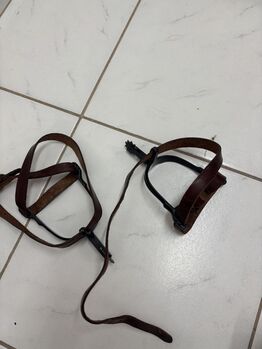 Rädchensporen mit Zacken, Anna Maria, Spurs & Spur Straps, Passau