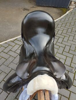 Hock Dressursattel Albert Hock 