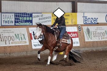 Hochwertige Quarter Horse Zuchtstute mit Top-Abstammung, Kerstin Rehbehn (Pferdemarketing Ost), Horses For Sale, Nienburg