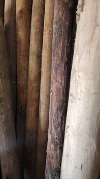 Holzpfähle, Jana, Weidezaunzubehör, Nideggen 
