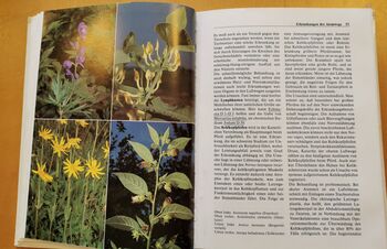 Der homöopathische Pferdedoktor - Grundlagen, Heilbehandlungen, Arzneibilder kosmos  Gerhart Gerweck