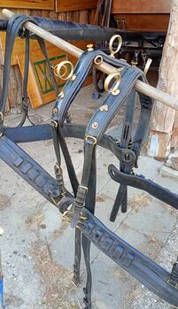 Ungarisches , Geschirr, Zweispänner Geschirr , André, Carriages, Naumburg