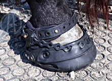 Hufschuhe mit Rabatt, Dallmer, Renegade, Viper, Exlpora, Cavallo, Hufschuhtechnik (Hufschuhtechnik.ch), Hoof Boots & Therapy Boots, Gümligen