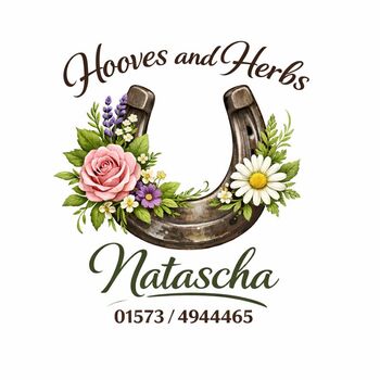 Hufpflege und artgerechte Fütterung Brandenburg, Natascha Ecker , Therapy & Treatment, Egenhofen